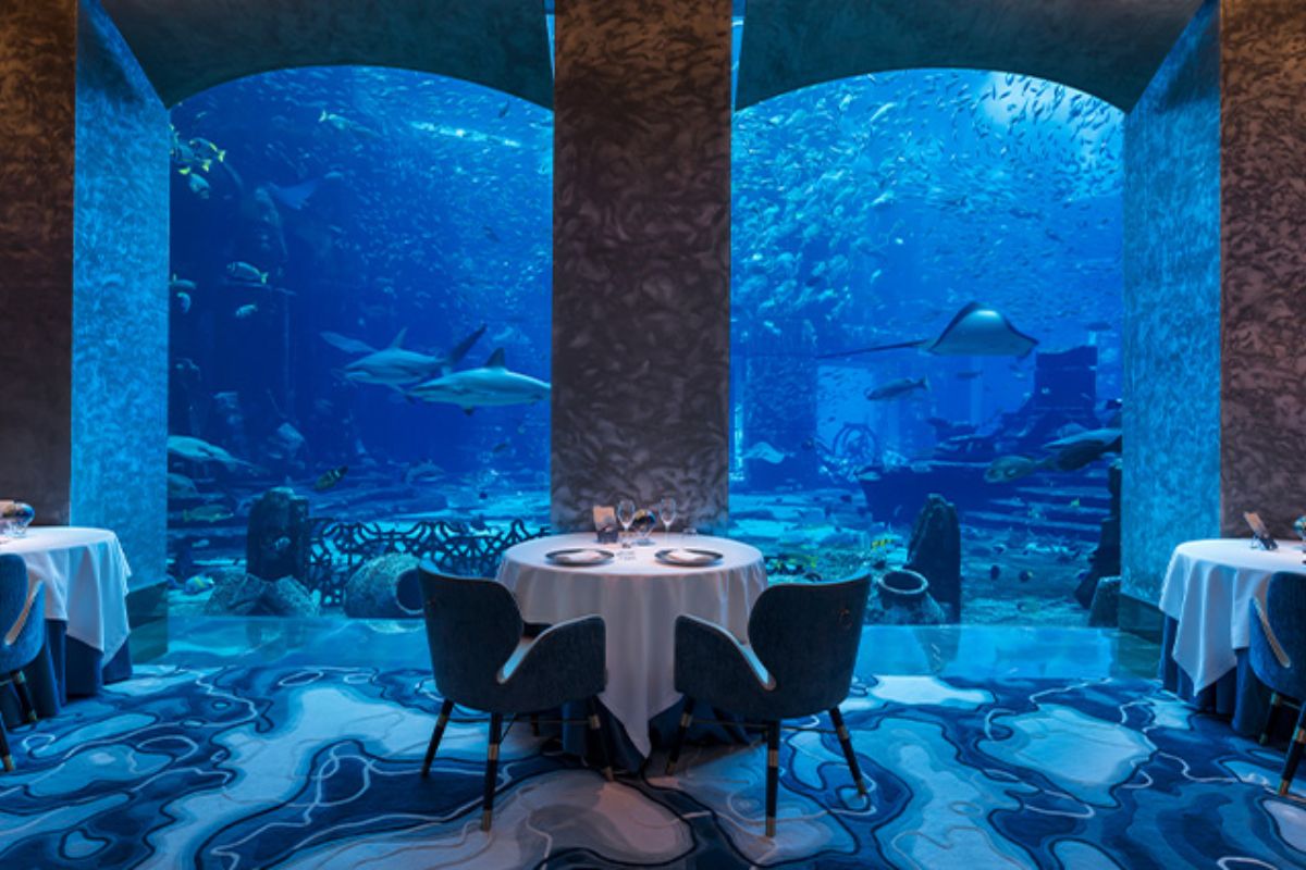 Ossiano – Atlantis, The Palm