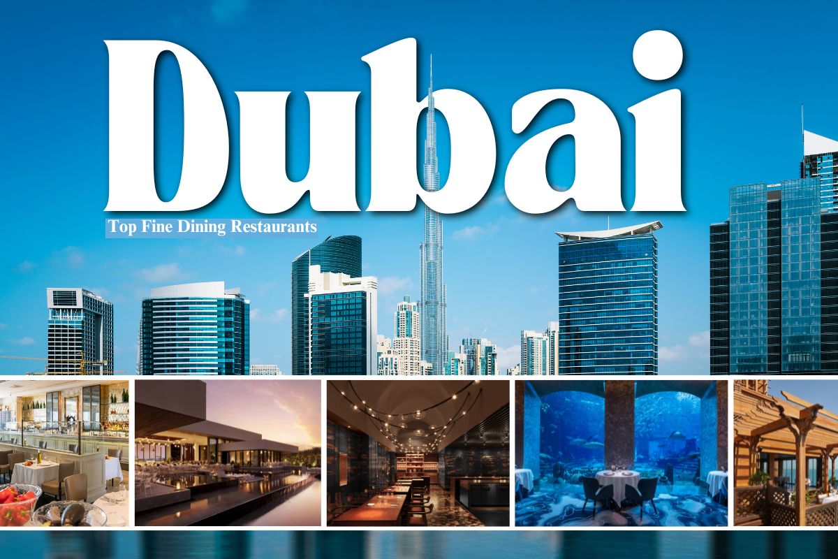 Dubai’s Culinary Constellation: A Deep Dive into the Emirate’s Finest Fine-Dining Gems